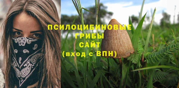 ешки Абаза