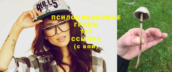 прущая мука Алзамай