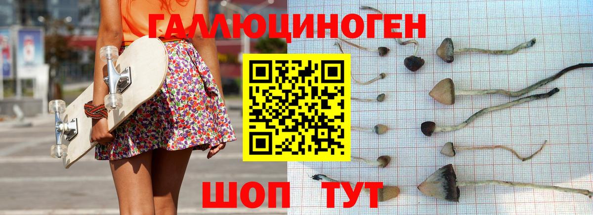 Саки  Псилоцибиновые грибы мицелий  Вход с VPN 