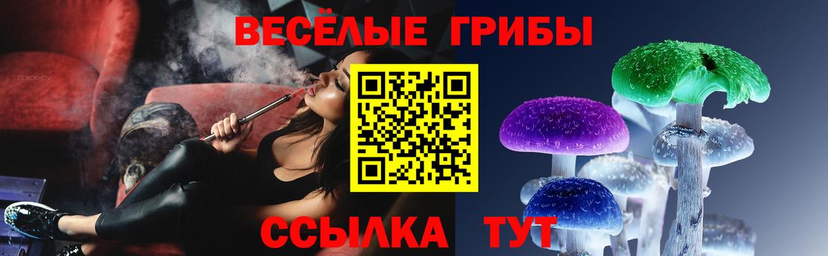 Псилоцибиновые грибы GOLDEN TEACHER Саки