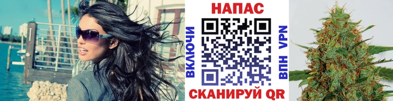 Марихуана ГИДРОПОН  Саки 